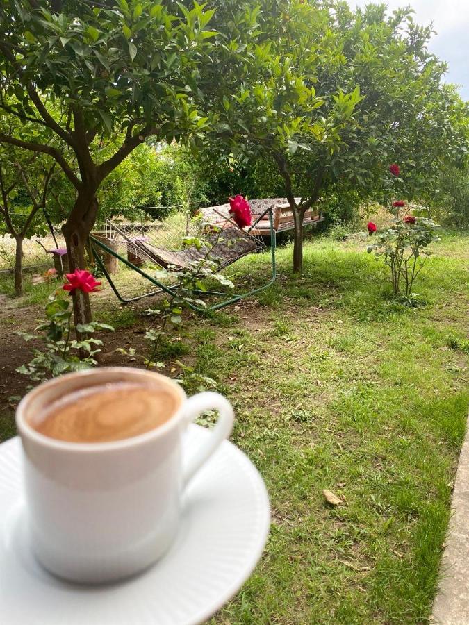 Cirali Irmak Hotel מראה חיצוני תמונה