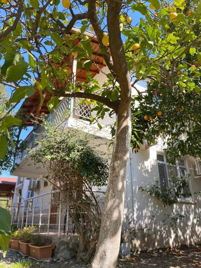 Cirali Irmak Hotel מראה חיצוני תמונה