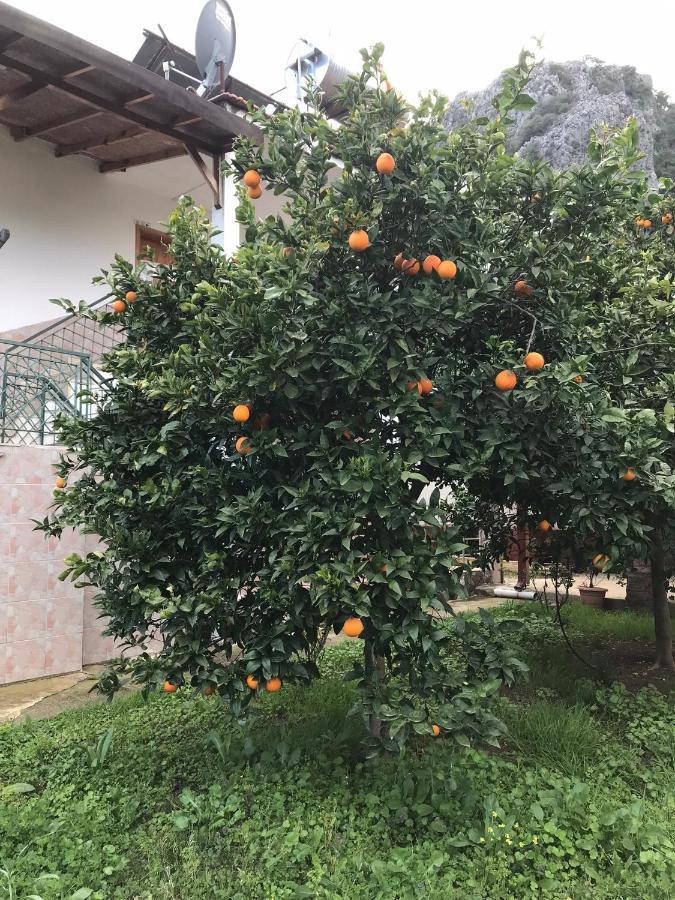 Cirali Irmak Hotel מראה חיצוני תמונה