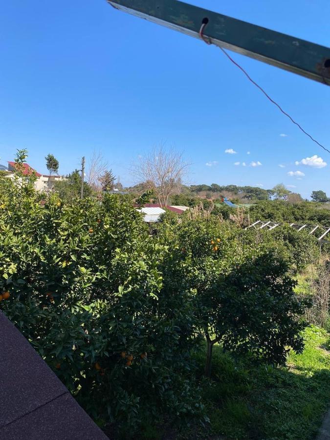Cirali Irmak Hotel מראה חיצוני תמונה