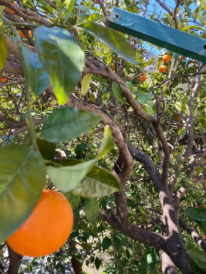 Cirali Irmak Hotel מראה חיצוני תמונה